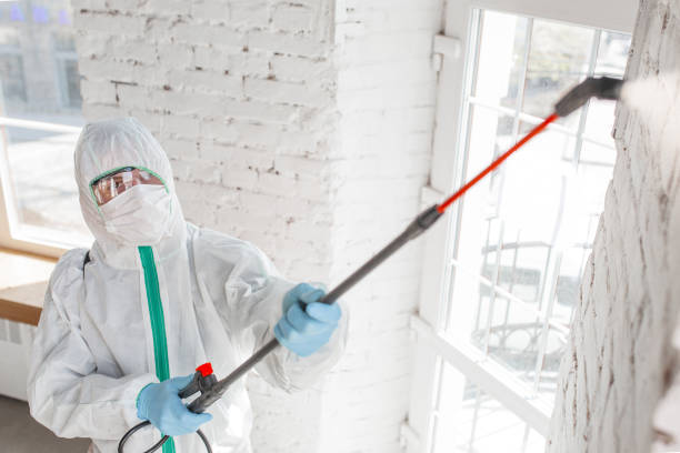 Best Mold Damage Restoration  in Lindenhurst, NY