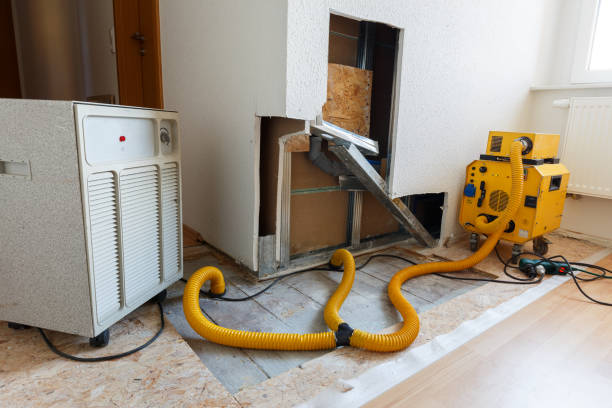 Best Commercial Mold Inspection  in Lindenhurst, NY